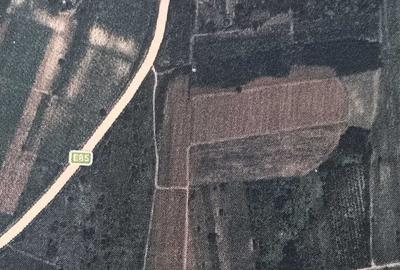 Teren de 9265 mp, în Dumbrăveni - 5