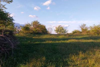 Spațiu comercial, în Cireșu - 6