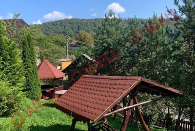 De vânzare două case de vacanță pe aceeași curte! - 26
