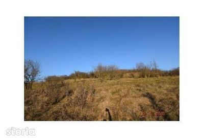 Teren de 8700 mp, în Adămuș - 6