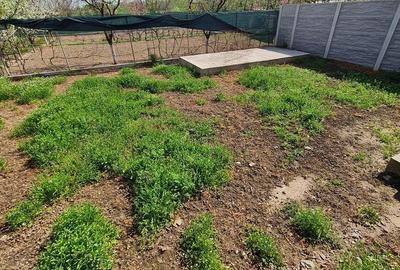 Duplex cu 4 camere cu Canalizare în Parța - 23