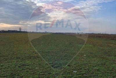 Teren agricol intravilan de 5700 mp, în Sântion - 3
