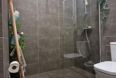 CASA PLOIESTI-ALBERT-IRISH PARK-Direct proprietar - 7