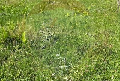 Teren 3,311mp Molid -Vama, Strada Stefan cel Mare, Suceava - 8