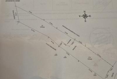 Teren intravilan de 2011 mp, în Chiojdeanca - 1