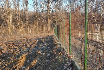 Teren Construcții intravilan de 600 mp, în Tâncăbești - 3