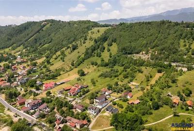 Deschidere spre crestele alpine+ documentatie turistica,4.400 mp de inspiratie naturala - 1