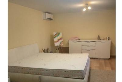 Inchiriere Vila P+1+M in Jilava - 6