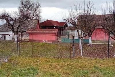 OFERTA in Bacia, Hunedoara ! Proprietate 2 case + Cabana + Livada - 3