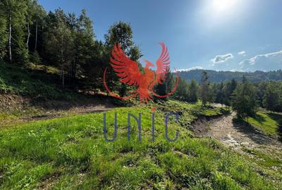 Teren Construcții extravilan de 18000 mp, în Exterior Est - 13