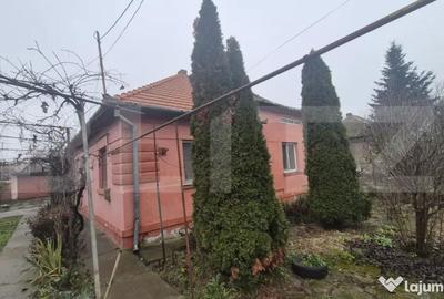 Casă cu 1 camere cu Teren 1306 Mp în Careiului - 16