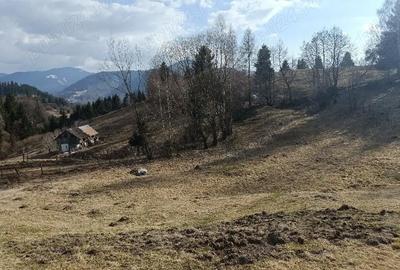 Teren de 3200 mp, în Dâmbovicioara - 2