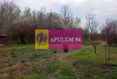 GIURGIU - COM. BUCSANI (SAT OBEDENI) CASA 2 CAM DE VANZARE - 22