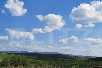 Casa/Vila de vanzare / posibil Pensiune ,cu view ?i padur - 3