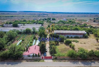 Casa - hala si teren de 9000 mp - ideal investitie - Fundeni/Calarasi - 1