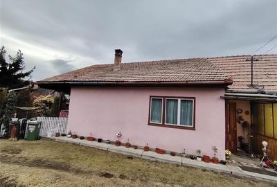 Casa de locuit (Gheorgheni str. Pescarilor) - 2