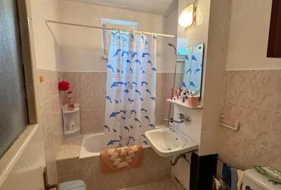 Apartament 2 cam, Precista, str. Unirii, in zona magazinului Carrefour. Pret 350 Eur lunar - 4