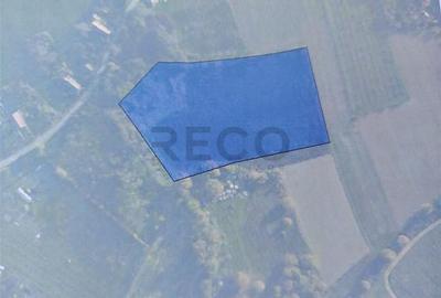 Teren de 13400 mp, în Izvoarele - 1