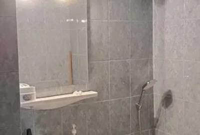 Închiriere Apartament  Nicolae Grigorescu Sălăjan - 8