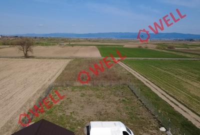 Teren intravilan de 462 mp, în Aninoasa - 7