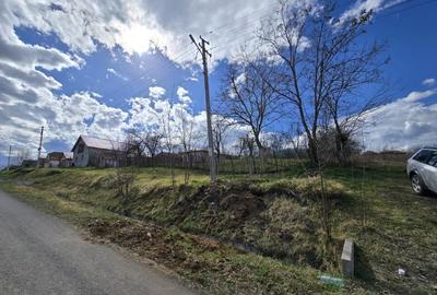 Casă individuală cu 3 camere cu Teren 2876 Mp în Herneacova - 3