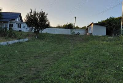 Vand casa cu 10 arii teren - 5
