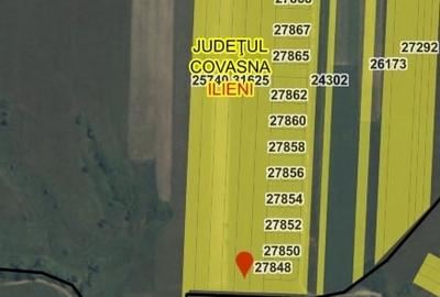 Teren agricol extravilan de 13400 mp, în Dobolii de Jos - 1