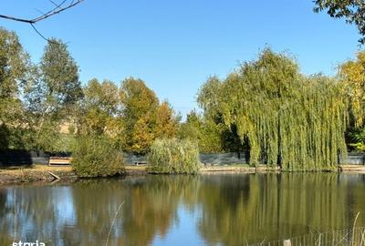 Teren de 631 mp, în Agapia - 9