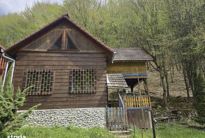 Casă cu 4 camere în Ighiel - 9