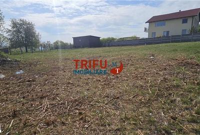 Teren de 1020 mp, în Cetate - 2