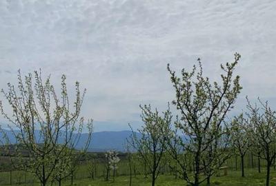 Spațiu comercial, în Bungard - 1