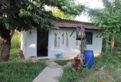 Casa ?i Teren sat Sandulita-Calarasi - 4