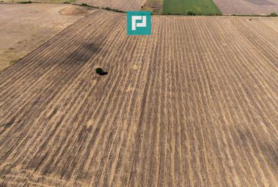 Teren agricol extravilan de 5500 mp, în Freidorf - 6