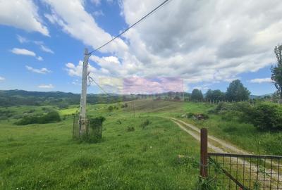 Teren agricol intravilan de 9037 mp, în Plaiul Tălii - 5
