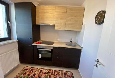 GARSONIERA | THEODOR PALLADY | HILS | PARCARE | METROU - 5