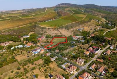 Teren Construcții intravilan de 4184 mp, în Miniș - 6