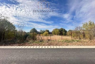 Giarmata Teren 1889mp Front 27.5m Pretabil Duplex/Triplex - Asfalt - 2