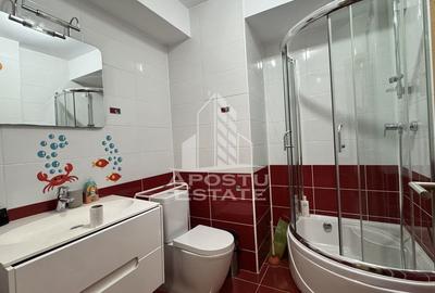 Apartament cu 3 camere semidecomandat, mobilat în Șagului - 7