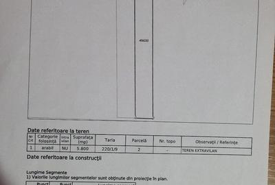 Teren de 7400 mp, în Bucovăț (Remetea Mare) - 4