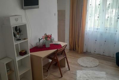 Garsonieră în Sârbi - 2