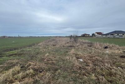 Teren Construcții intravilan de 2790 mp, în Șag - 2