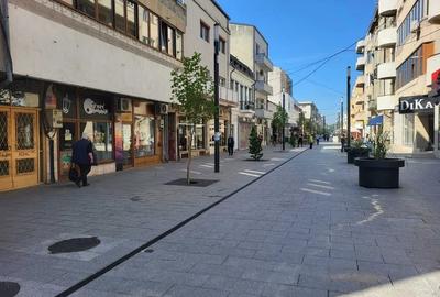Apartament 3 Camere Clasic - Ultracentral - Parcul Arheologic - 7