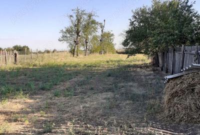 Teren de 2772 mp, în Găgeni - 8