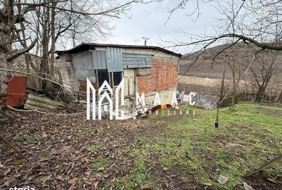 Spațiu comercial, în Șura Mare - 4