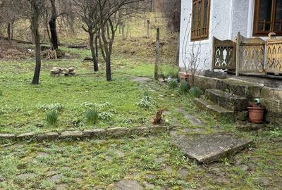 Casă cu 3 camere în Soveja - 4