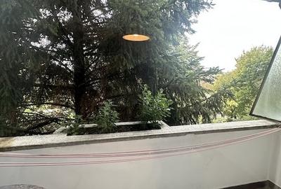 Apartament 2 camere, 45 mp, cartier Sasar - 7