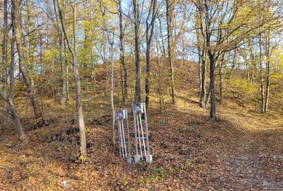 Vand teren cu padure la 5 km de Curtea de Arges,zona deal-munte,zona superba - 9