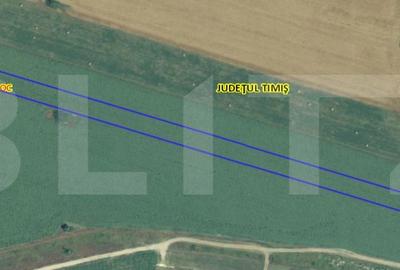 Teren de 10000 mp, în Moșnița Nouă