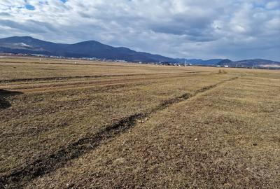 Teren agricol extravilan de 10000 mp, în Est