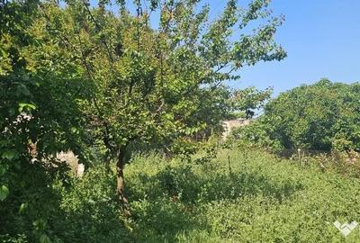 Casă cu 3 camere cu Teren 470 Mp în Viile Noi - 5